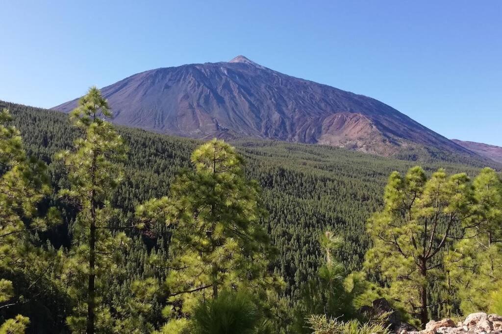 サンタクルスデテネリフェLa Casita De La Paredアパートメント エクステリア 写真