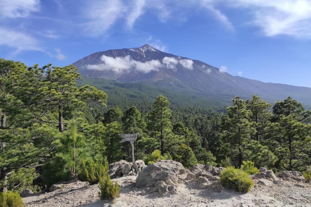サンタクルスデテネリフェLa Casita De La Paredアパートメント エクステリア 写真